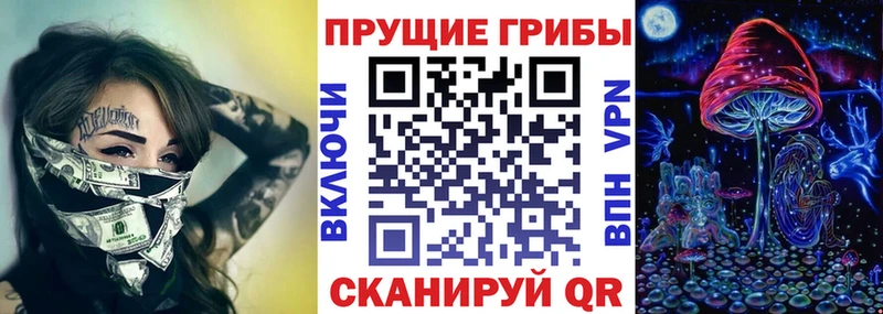 Псилоцибиновые грибы Cubensis  хочу наркоту  mega сайт  Злынка 