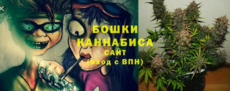 Бошки марихуана White Widow  наркота  Злынка 